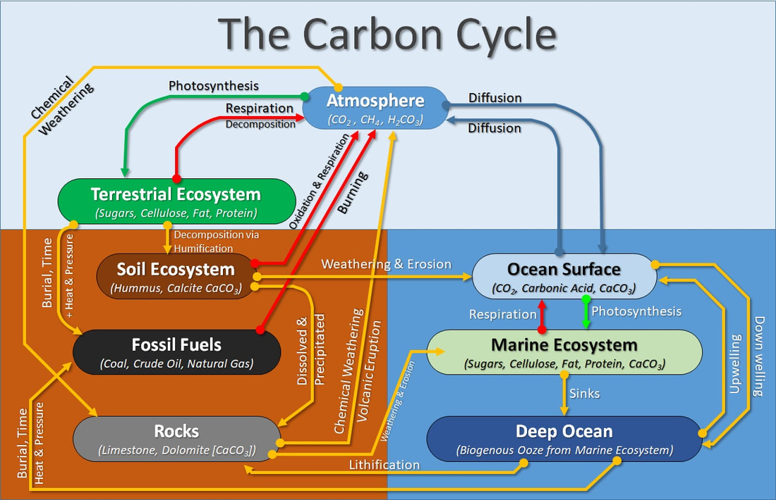 chemical weathering carbon dioxide diagram